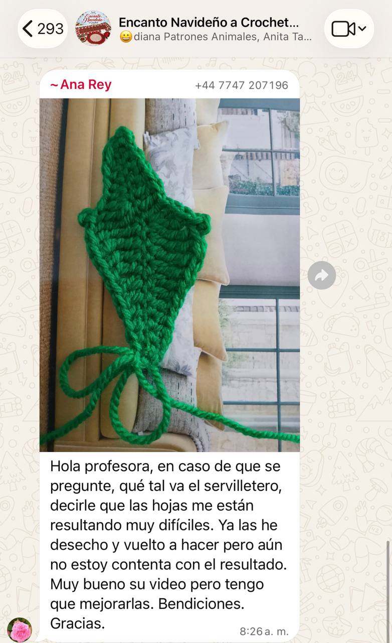 Una alumna comparte su avance del servilletero y consulta sus dificultades al tejer las hojas